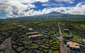 Paraíso do Triângulo